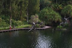 IMG_2928-scaled