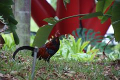 IMG_2936-scaled