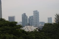 IMG_2955-scaled