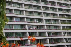 IMG_2959-scaled