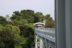 IMG_3203-scaled