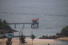 IMG_3208-scaled