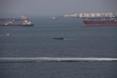 IMG_3216-scaled