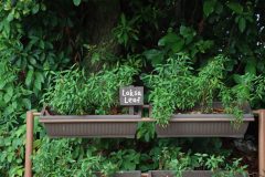IMG_3295-scaled