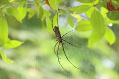 IMG_3307-scaled