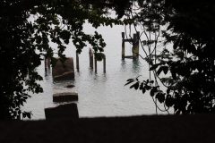 IMG_3341-scaled