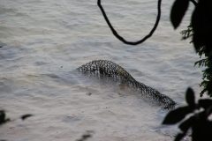 IMG_3346-scaled