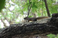 IMG_3347-scaled
