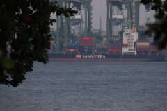 IMG_3368-scaled