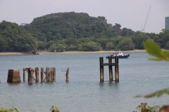 IMG_3391-scaled