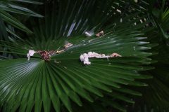 IMG_3417-scaled.jpg