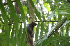 IMG_3441-scaled