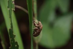 IMG_3454-scaled.jpg