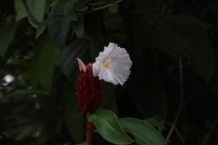 IMG_3467-scaled