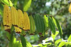 IMG_3492-scaled