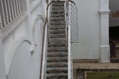 IMG_3528-scaled