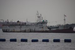 IMG_3650-scaled