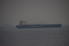 IMG_3694-scaled