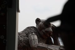 IMG_3764-scaled