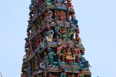 IMG_1513-scaled.jpg