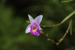 IMG_1596-scaled