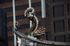IMG_1677-scaled