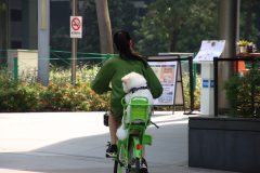 IMG_1806-scaled