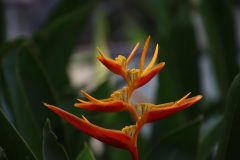 IMG_1900-scaled