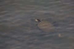 IMG_1922-scaled