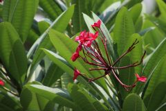 IMG_1954-scaled
