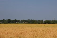 IMG_2200-scaled