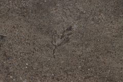 IMG_2274-scaled