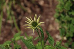 IMG_2316-scaled