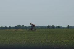 IMG_2369-scaled