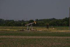 IMG_2376-scaled