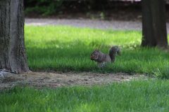 IMG_2518-scaled