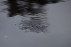 IMG_6696-scaled