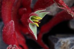IMG_6864-scaled