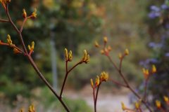 IMG_6868-scaled