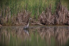 IMG_2630-scaled