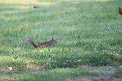 IMG_2911-1-scaled