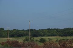 IMG_3933-scaled