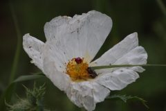 IMG_4116-scaled