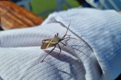 20230420_094029-scaled