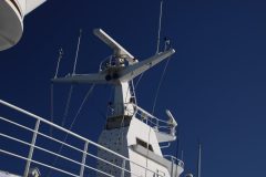 IMG_7381-scaled