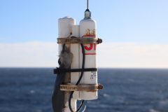 IMG_7407-scaled