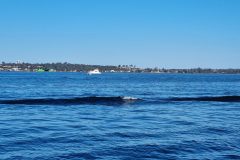20230715_142828-scaled