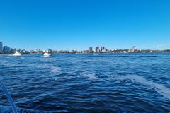 20230715_144459-scaled