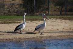 IMG_1152-scaled