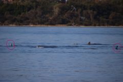 IMG_1186-scaled